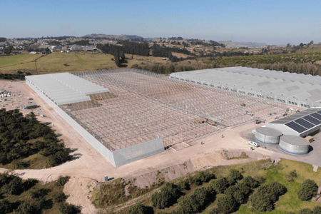 The 5 Phases of Our Greenhouse Projects