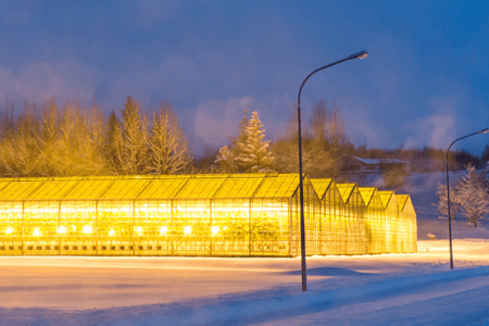 How climate impacts your greenhouse’s costs and production