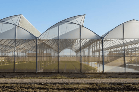 Cut Down on Pesticides to Free Yourself of Pesky Growing Costs