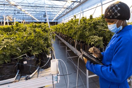 The most overlooked ingredient in fertigation