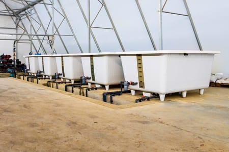 Why your fertigation recipe matters