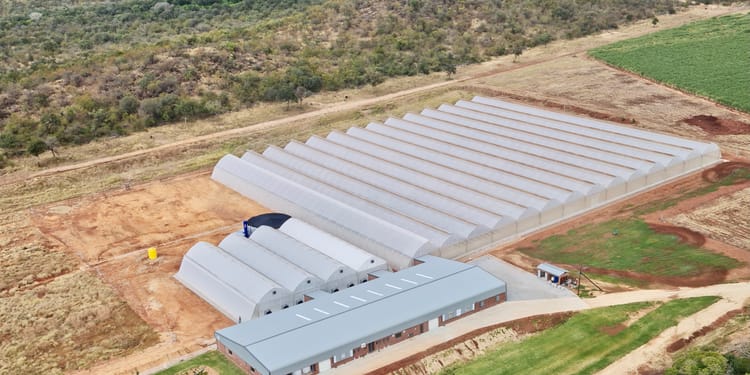 Komati Fruit Nurseries