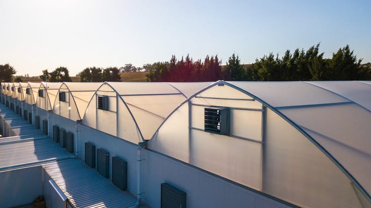 Feldbridge - canabis greenhouse 8