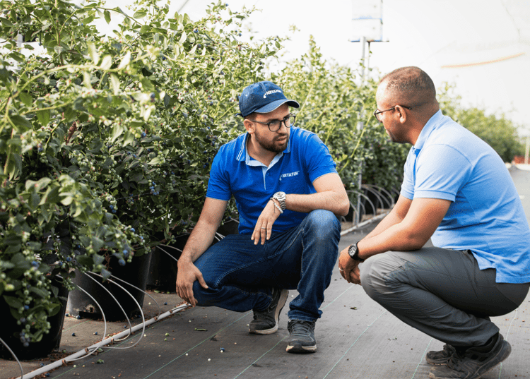 Vegtech our-partnership-with-netafim