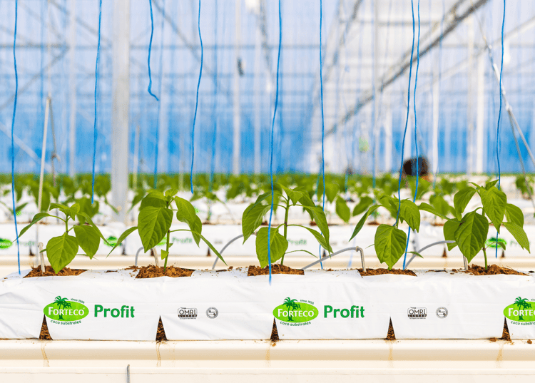 Vegtech products-growing-media