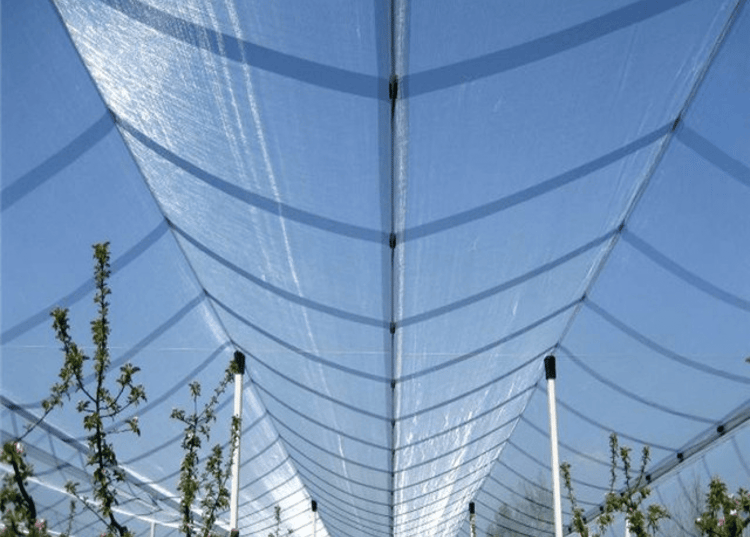 Vegtech products-specialized-nets