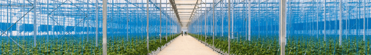 Banner Want to 10x your yield?