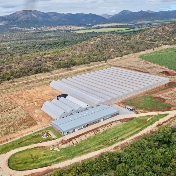 Komati Fruit Nurseries