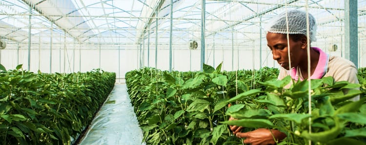 Sustainability