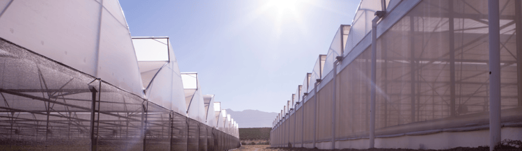 Banner A closer look at greenhouse plastics