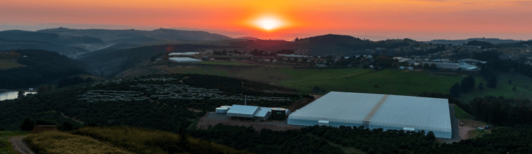 Banner Celebrating 30 years of growth and innovation