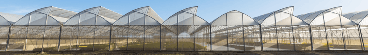 Banner Cut Down on Pesticides to Free Yourself of Pesky Growing Costs