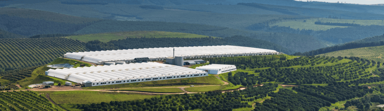 Banner Greenhouse solutions for Africa