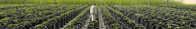 Banner The Science of Fertigation
