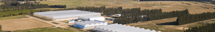 Banner A pioneering specialist nursery project in Wellington