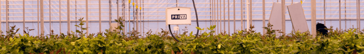 Banner The Science of Greenhouse Gases