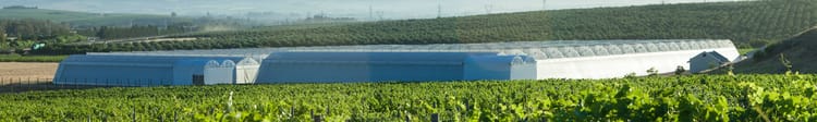 Banner Vegtech Netafim + Orbia: Advancing Life Around the World