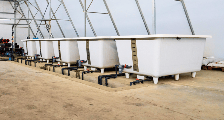 Banner Why your fertigation recipe matters