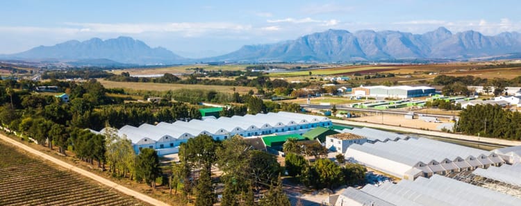 Felbridge Medical Cannabis