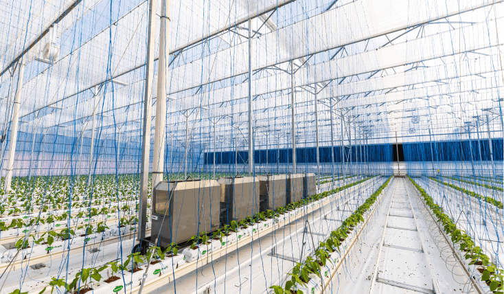 Greenhouses Structures