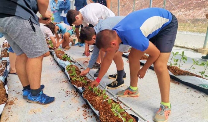 A Growing Population