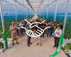 A Collaborative Approach