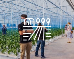 End-To-End Project Management