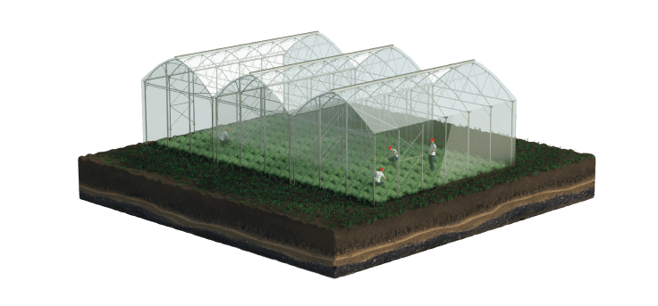 Operations & Management