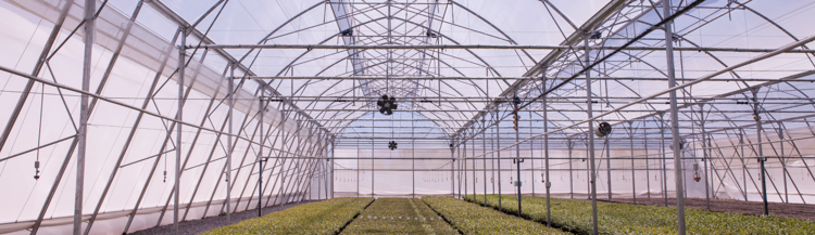 Banner Sun and heat protection for greenhouse crops